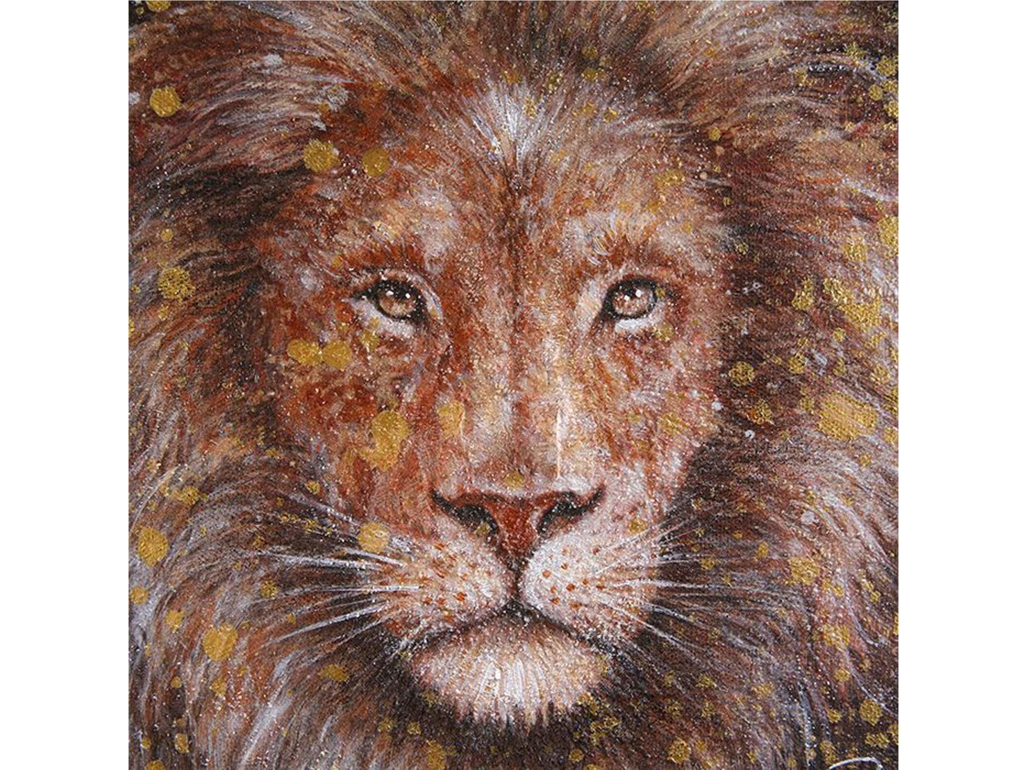 Leeuw canvas