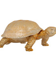 Decoratieve gouden schildpad opbergdoos | Turtle | H. 15.5 cm