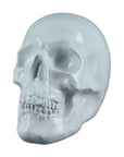 Skull beeld - Wit | Deco schedel | H. 15 cm