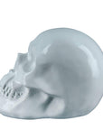 Decoratieve witte schedel in polyresin