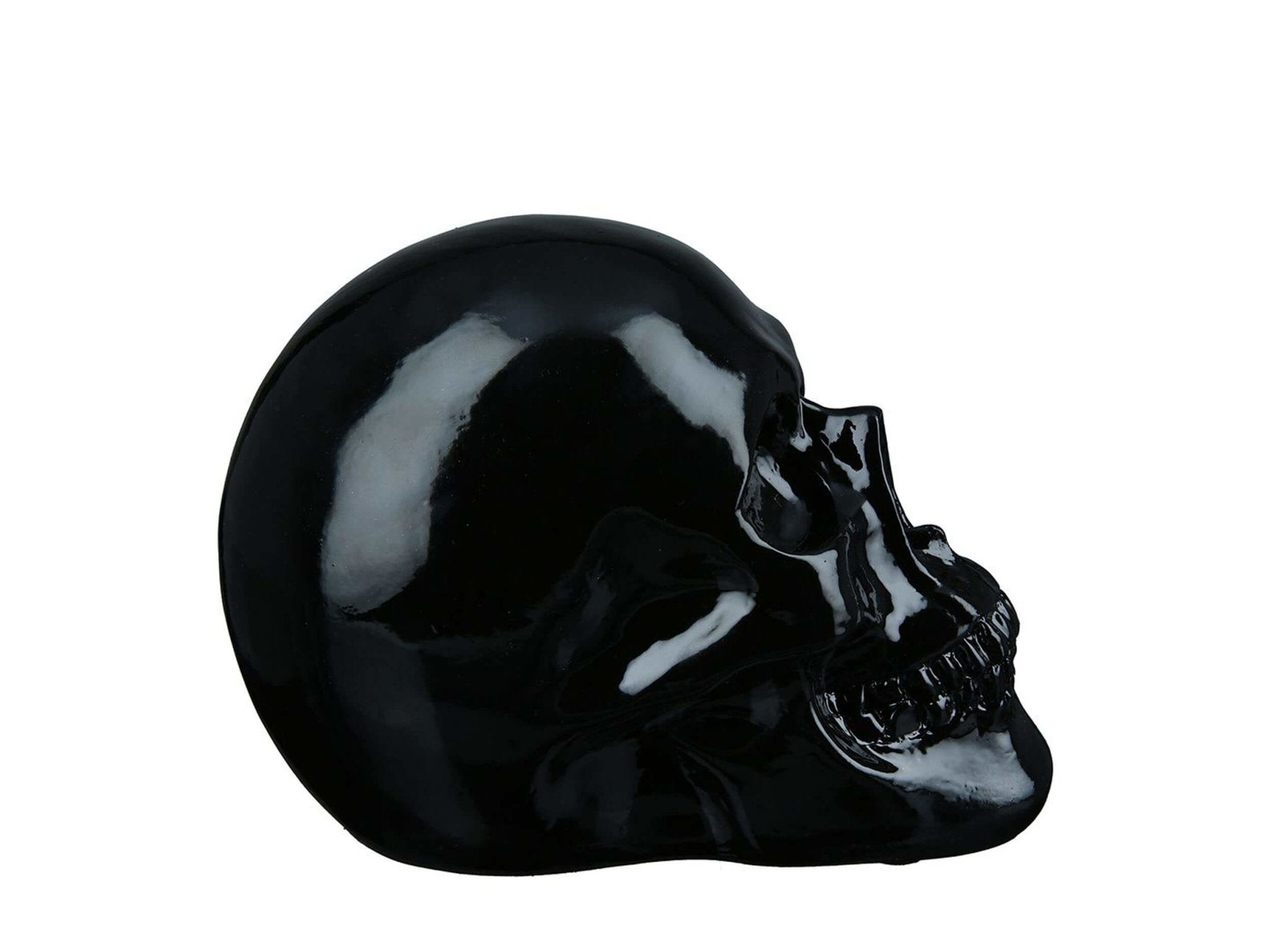Decoratieve schedel - doodshoofd in zwart polyresing voor binnen en buiten