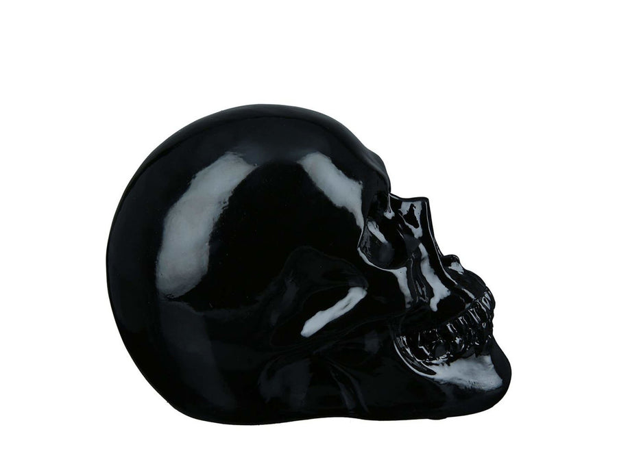 Decoratieve schedel - doodshoofd in zwart polyresing voor binnen en buiten