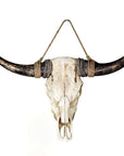 Buffel schedel | H. 24 cm