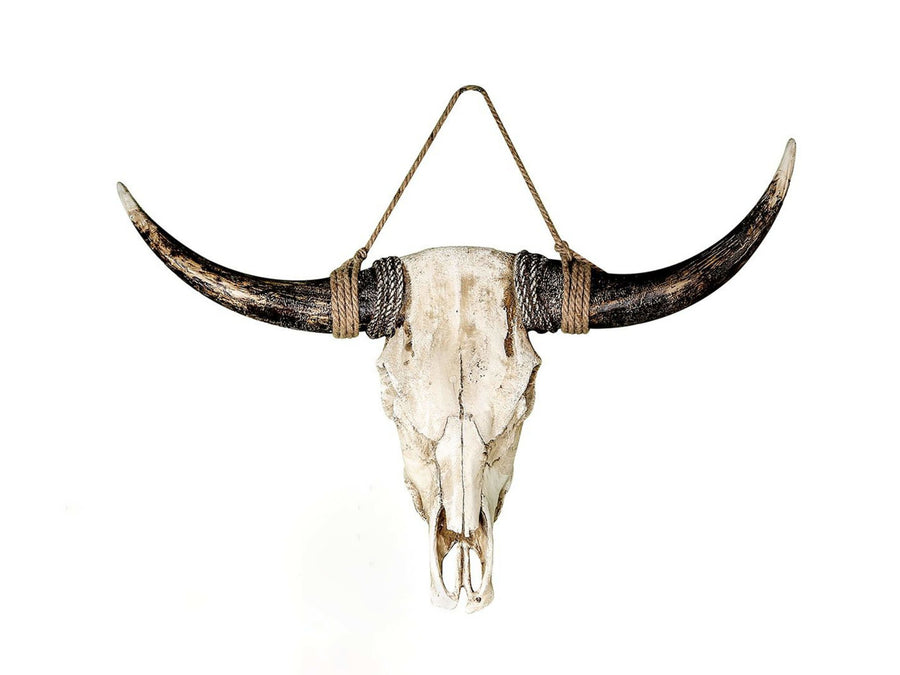 Buffel schedel muurdecoratie groot | H. 56 cm