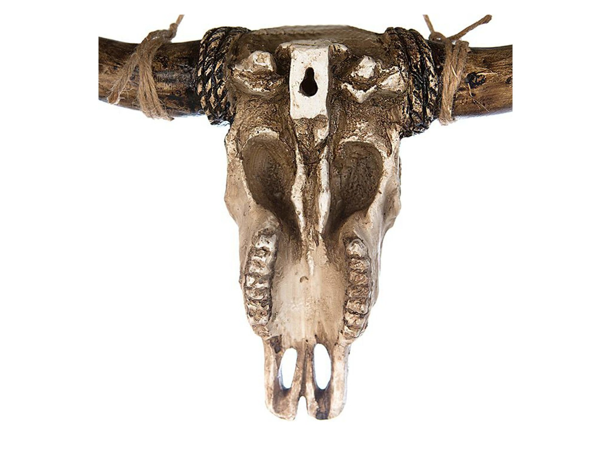 wanddecoratie buffel schedel achterkant met muurbevestiging