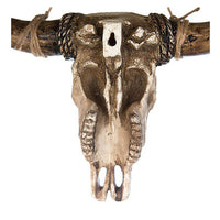wanddecoratie buffel schedel achterkant met muurbevestiging