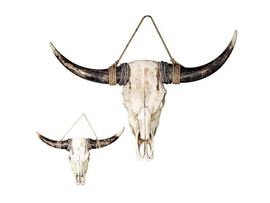 Buffel schedel muurdecoratie groot H. cm | Esentimo