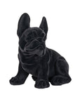 Zwart Franse bulldog puppy beeld | H. 35 cm
