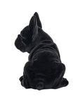 Achteraanzicht van het zwarte fluweelachtige frenchie pup beldje