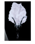 Zwart-wit Acrylprint | Elegante Ballerina | H. 90 cm
